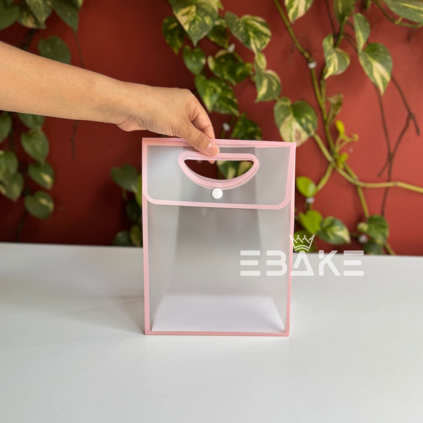 Small Frosted PVC Hamper Bag/Semi Transparent Goodie Bag (24x18x9.5cm) Set of 2 Colours